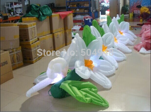 Hot Sale Inflatable