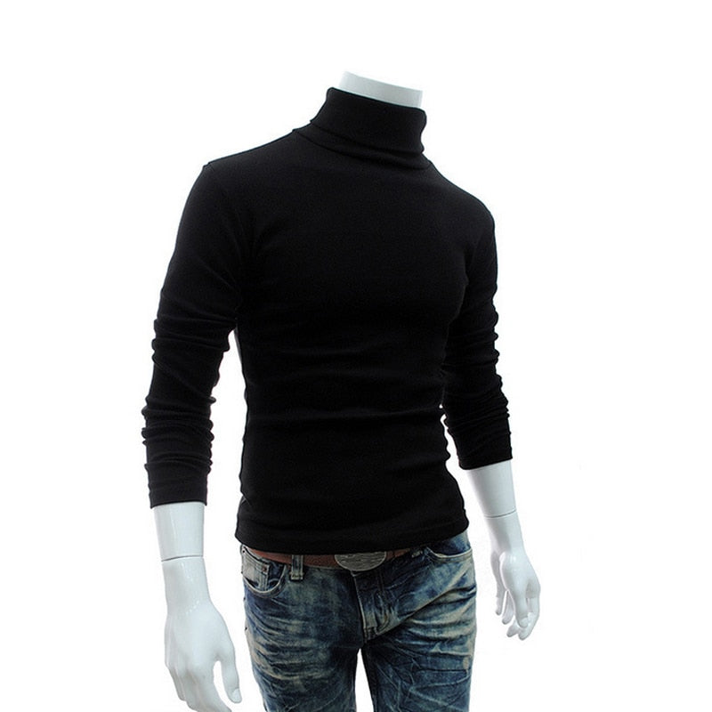 Winter Mens Turtleneck