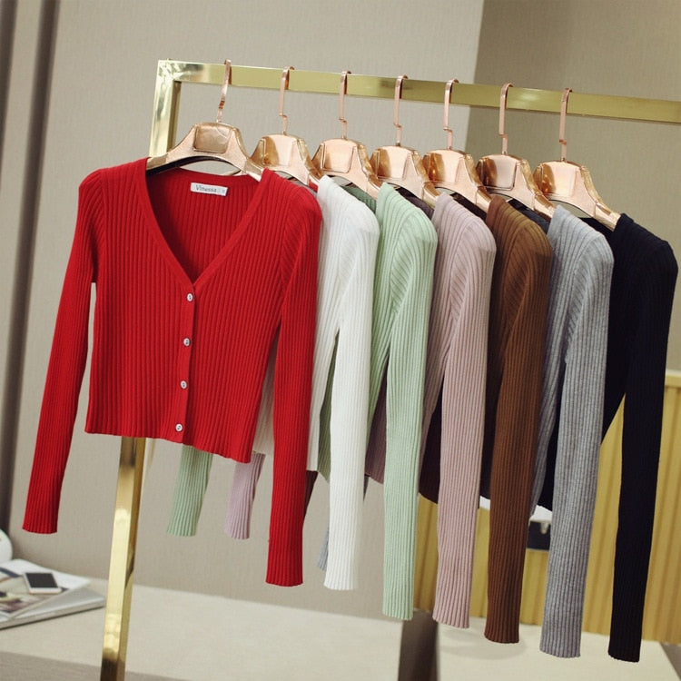 Contrast Spring Autumn