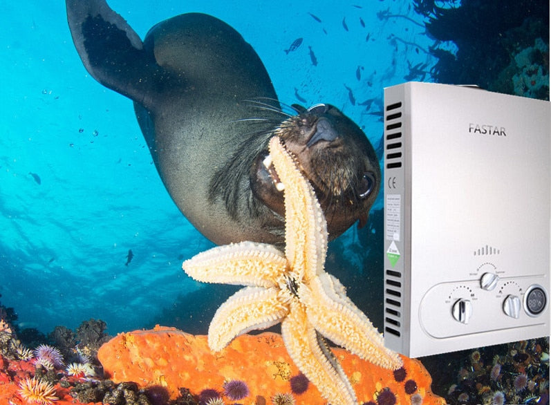 Real Promotion Newest