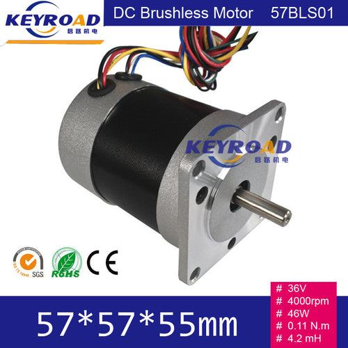 36V 4000rpm 46W
