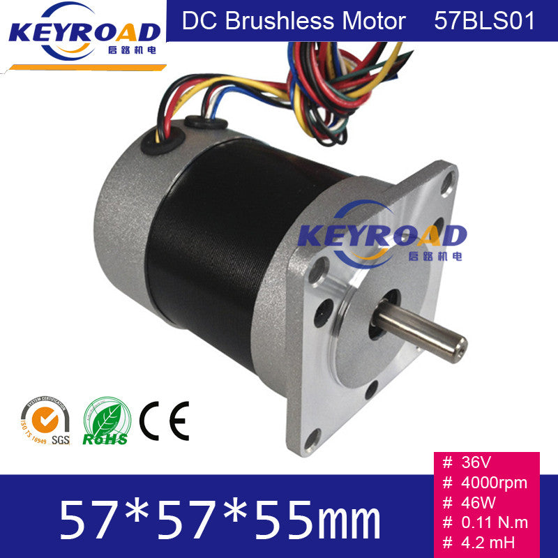 36V 4000rpm 46W
