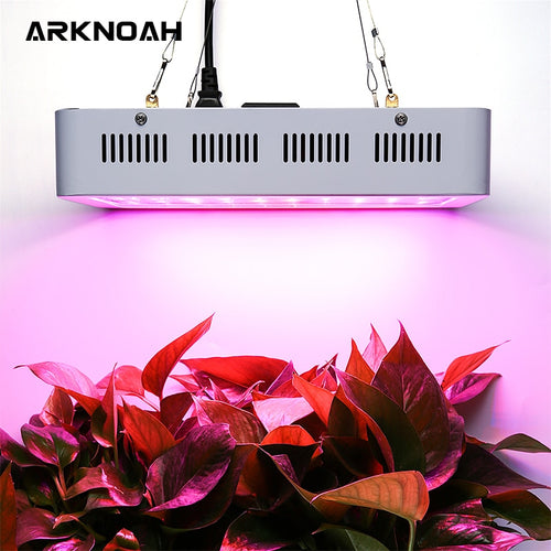 ARKNOAH 800W LED