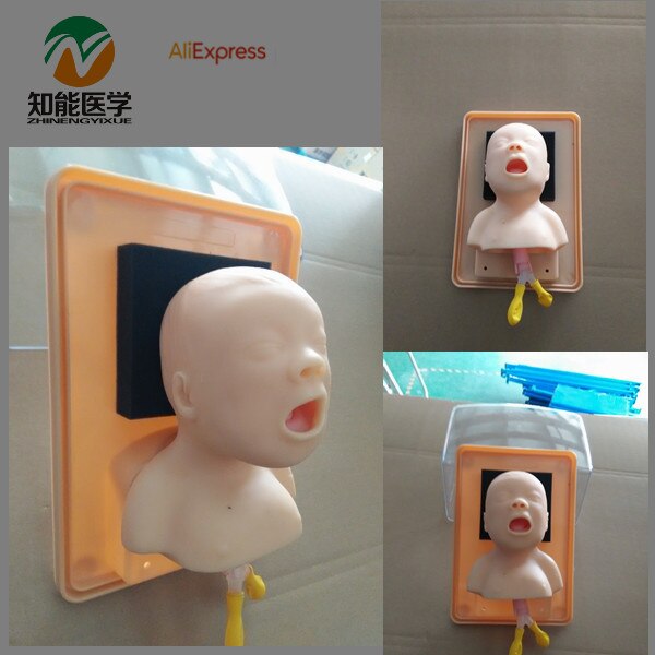 BIX-J2A Neonate Head