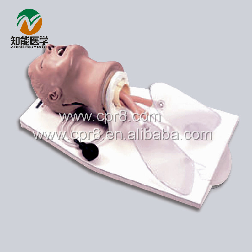 BIX-J50 Airway Training