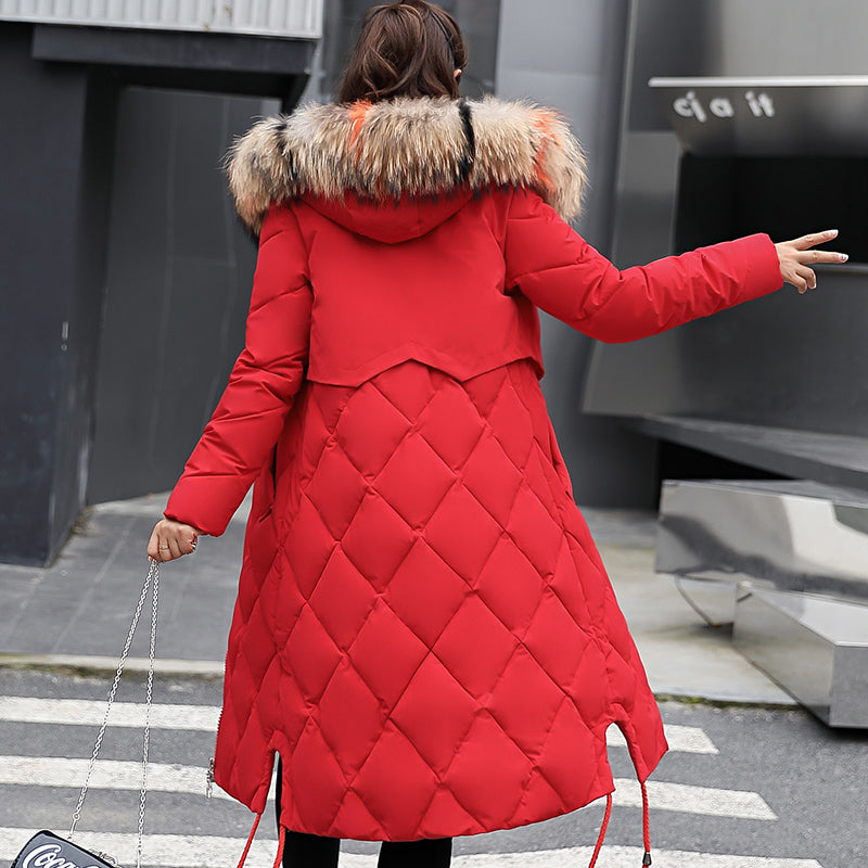 Beieuces Winter Jacket