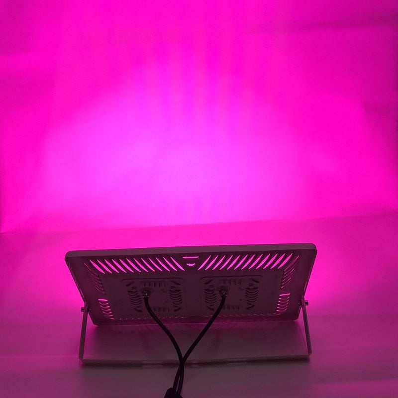Best LED Grow