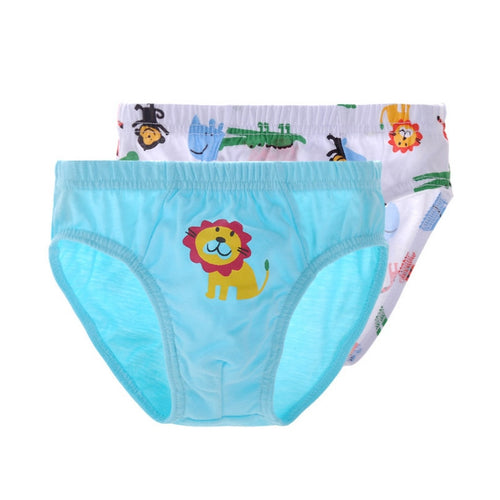 Boys Underwear Pcs