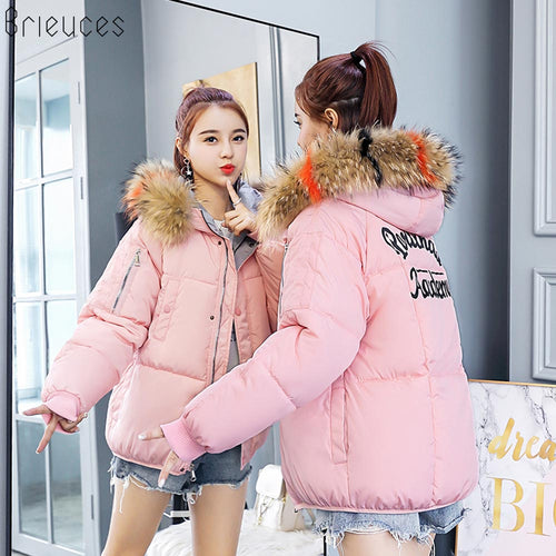 Brieuces Winter Jacket