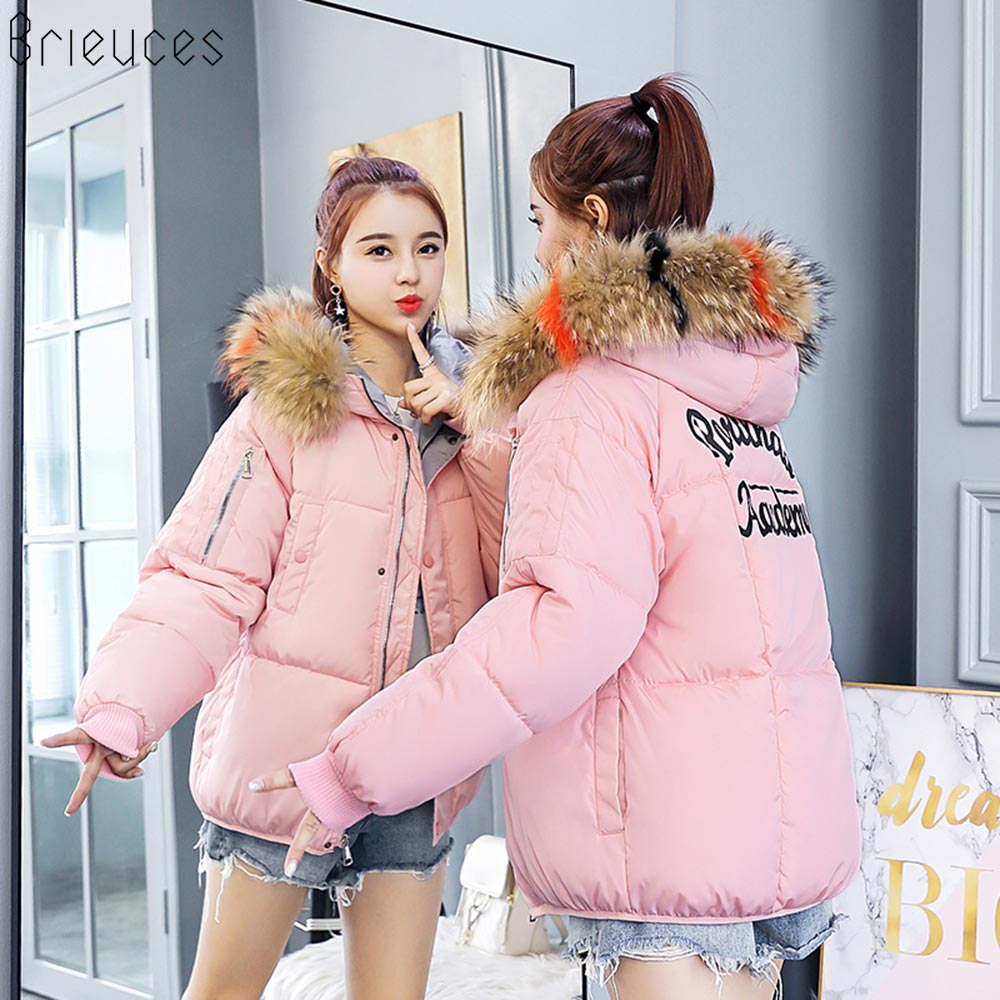 Brieuces Winter Jacket