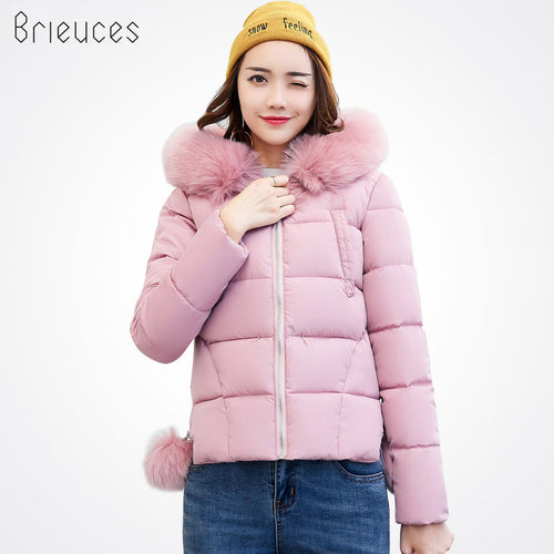Brieuces Winter Jacket