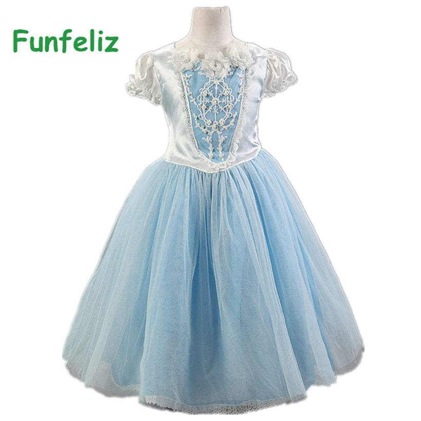 Cinderella Dress With