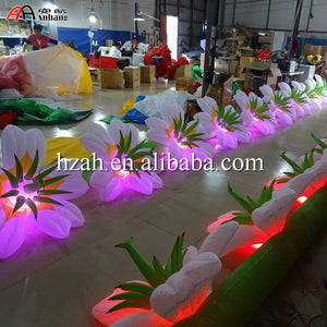Colorful Lighting Inflatable