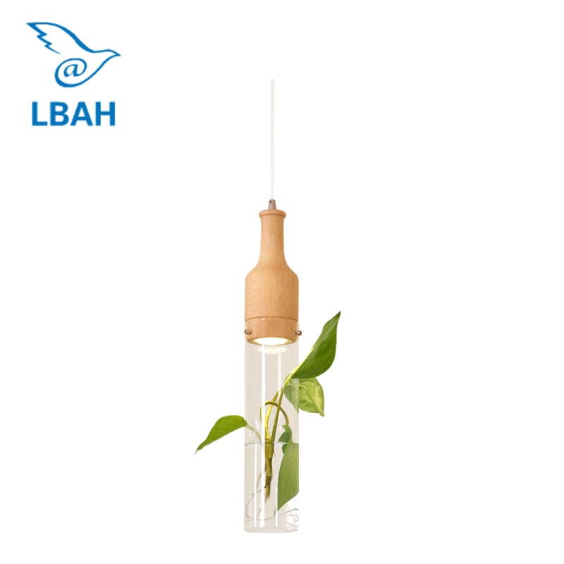 Creative plant chandelier