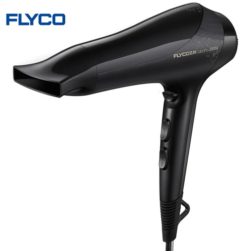 FLYCO 2000w Professional