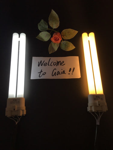 FSL Compact Fluorescent