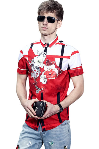 Fanzhuan Free Shipping