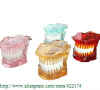 Free Shipping Natural