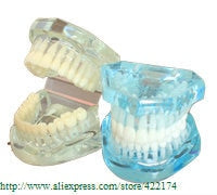 Free Shipping Natural