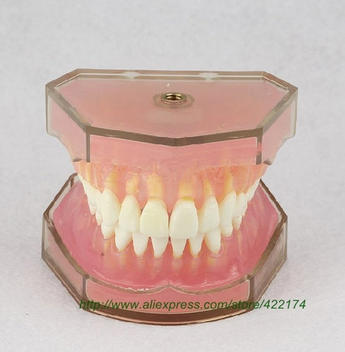 Free Shipping Standard