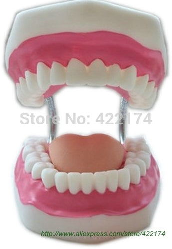 Free shipping Dental