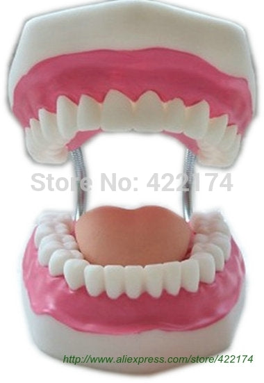 Free shipping Dental