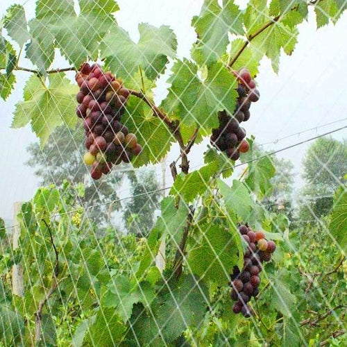 High Quality Casting