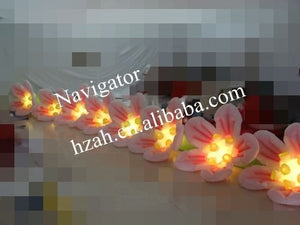 Hot Sale Inflatable