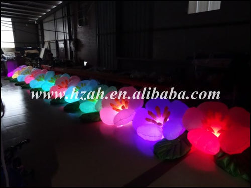 Hot Sale Lighted