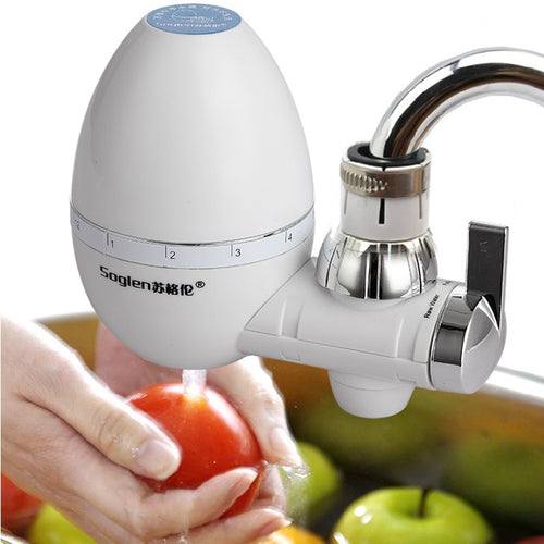 Household kitchen sanitary