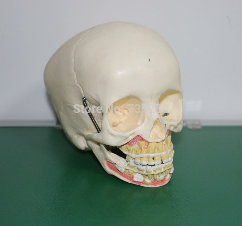 ISO Certification Senior