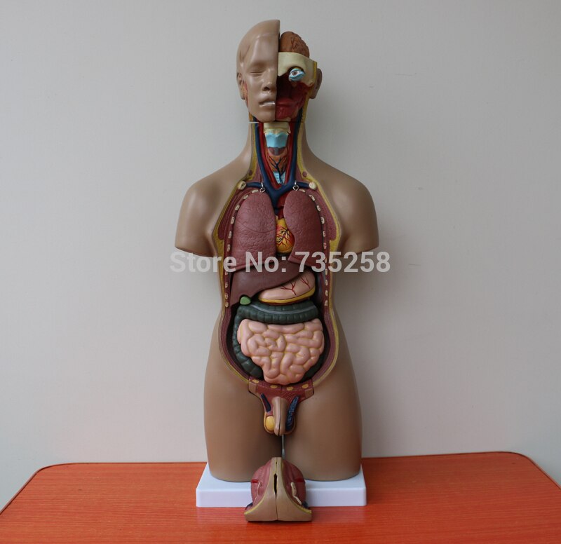 ISO Quality Certification