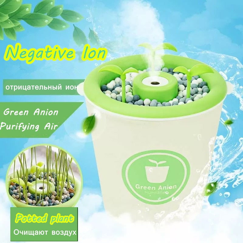 Ionizer Negative Ion