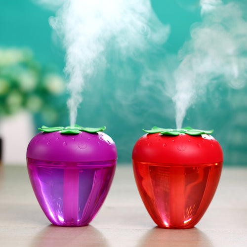 Mini Humidifier DC