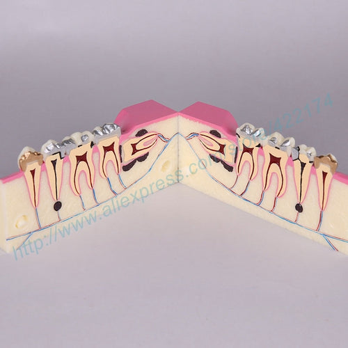 Molar cross section