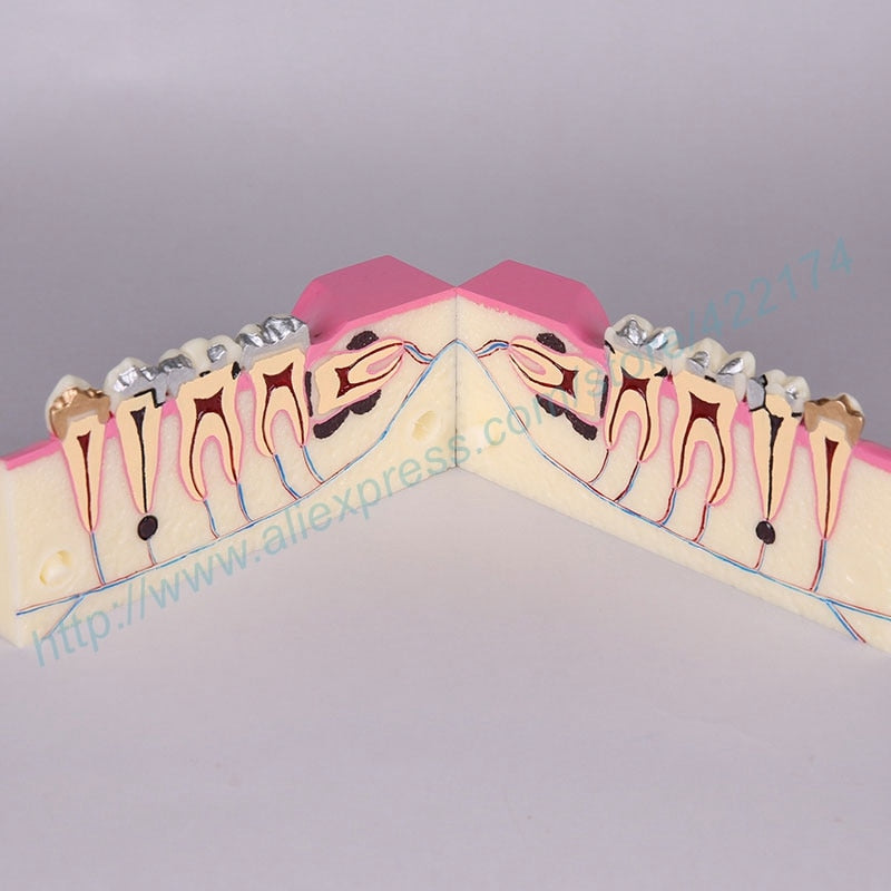 Molar cross section