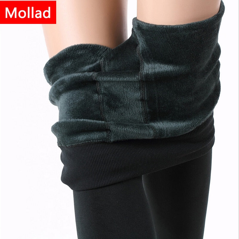 Mollad New Winter