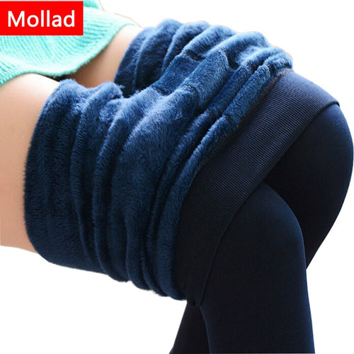 Mollad NEW plus