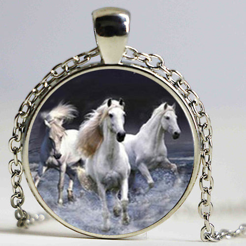 New Fashion Carousel