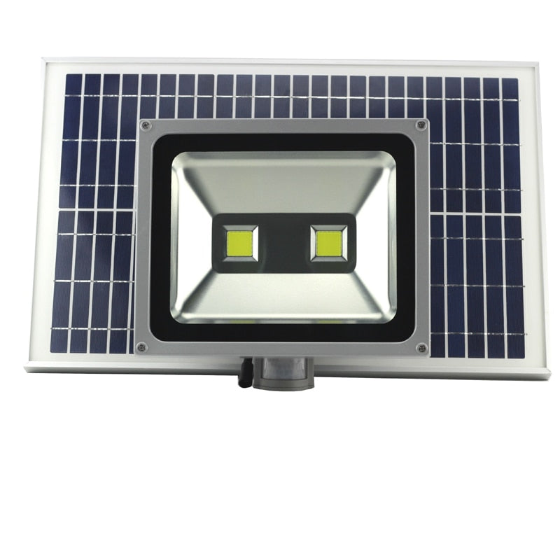 Newest 100W solar