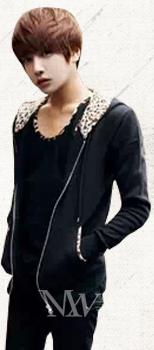 Non Mainstream Leopard