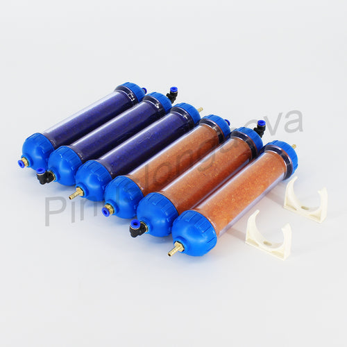 Pinuslongaeva Ozone air