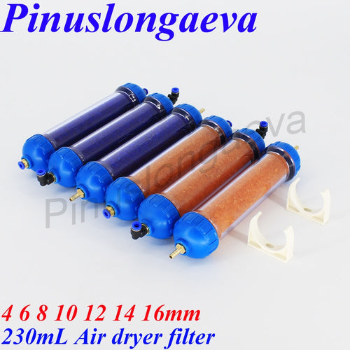 Pinuslongaeva gas filter