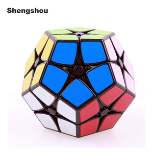 Shengshou Megaminxeds 2x2x2