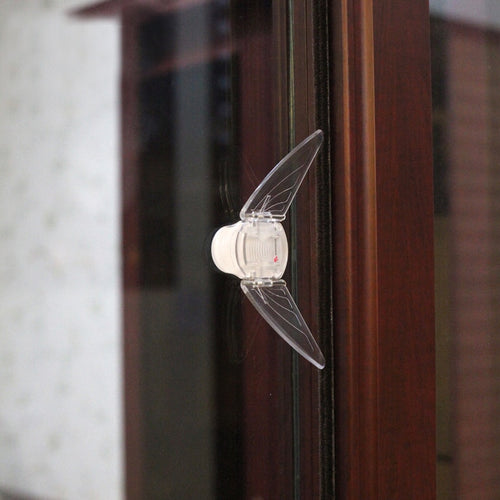 Small Butterfly Baby
