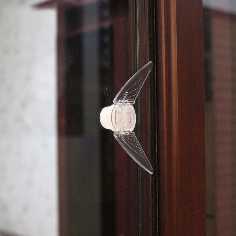 Small Butterfly Baby