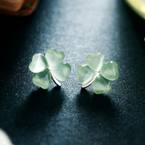 Special Brand Fashion